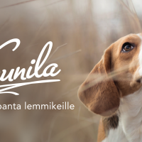 kaunila_lemmikeille_flyer_etusivu